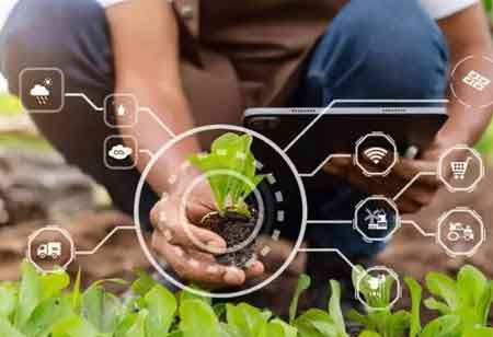 Implementing Smart Agriculture with Effective Strategies